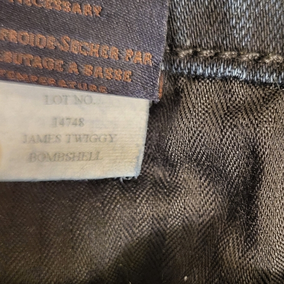 Anthropologie James Twiggy 5 Pocket Jeans Bombshell Size 31 - Picture 11 of 12